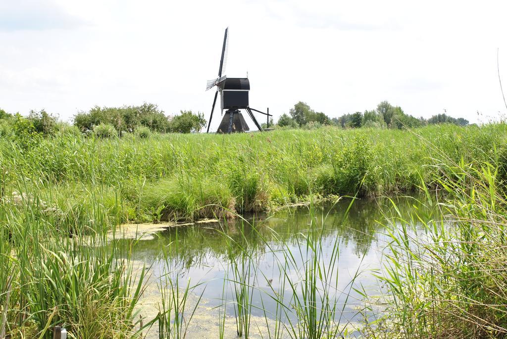 Camping De Grienduil Nieuwland  Екстер'єр фото