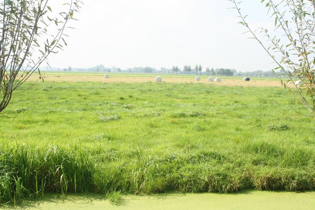Camping De Grienduil Nieuwland  Екстер'єр фото
